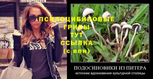 твердый Армянск